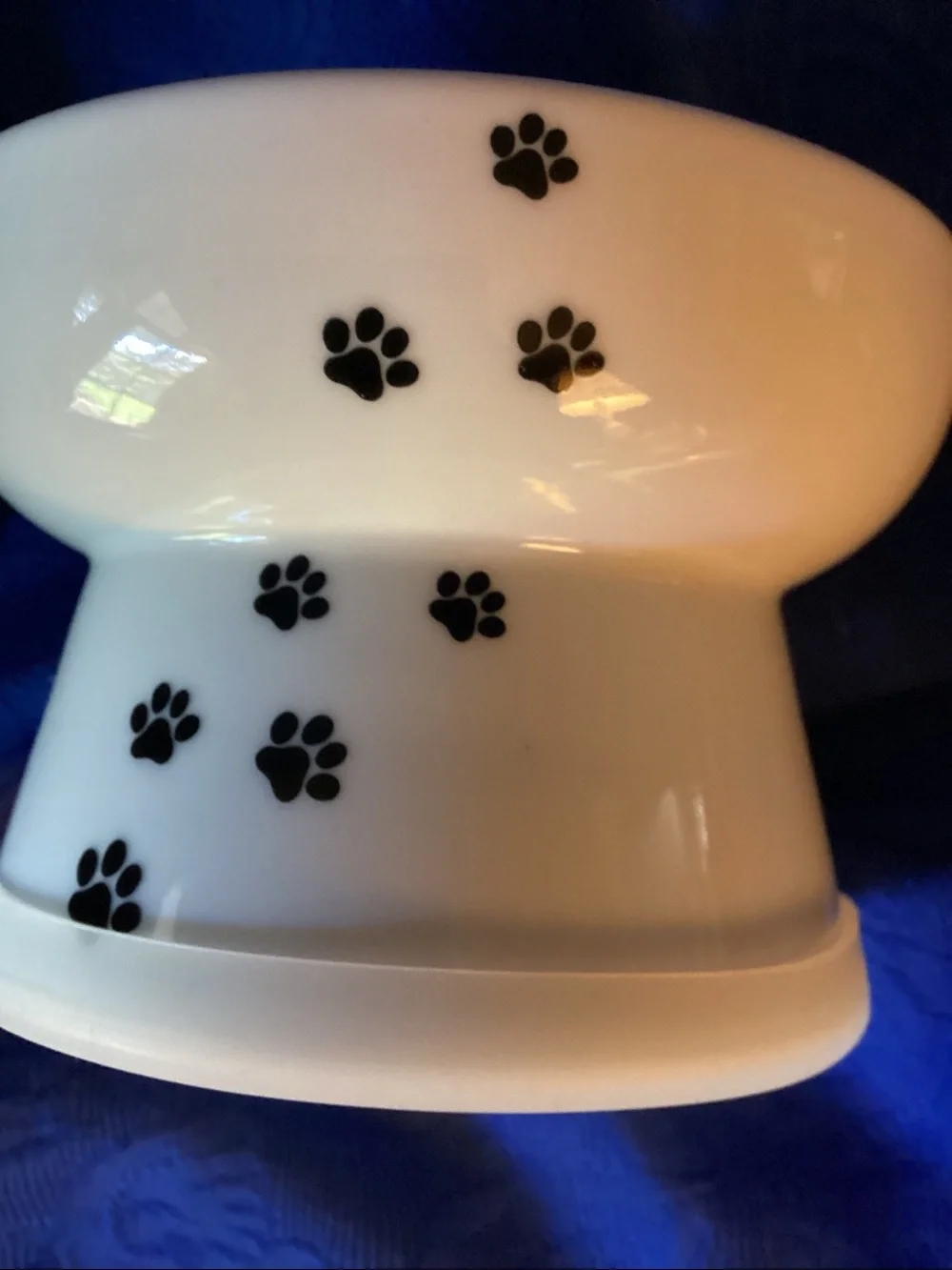 Cat Food Elevated Bowl by Necoichi Brand.